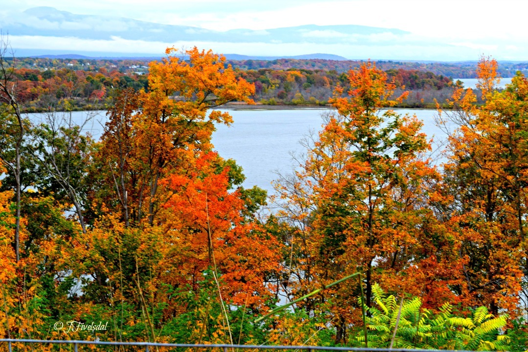 Speechless Sunday Vibrant Fall colors in the Hudson V